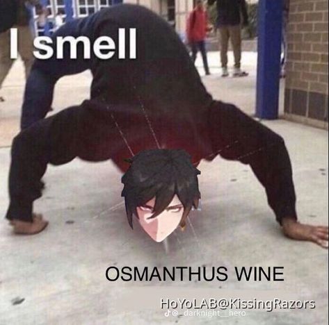 Osmanthus Wine, Wine Meme, Wine Tasting, Genshin Impact, Video Games, Zelda, Wine, Memes, Anime