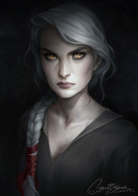 Queen Of Shadows, Empire Of Storms, Heroic Fantasy, Throne Of Glass Series, Fantasy Portraits, The Elder Scrolls, Anime Wolf, Arte Fantasy, Throne Of Glass