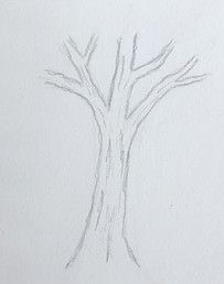 How to Draw a Tree Step by Step - Realistically | Your Art Box Simple Trees To Draw, How To Draw A Tree Trunk Step By Step, Drawing Trees Step By Step Pencil, Drawings Of Trees Easy, Pictures Of Trees To Draw, How Draw Tree, Drawing A Tree Easy, Easy Tree Sketch, How To Draw Trees Step By Step Pencil