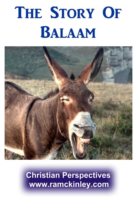 The story of Balaam began when Balak, the king of the Moabites asked for his help. In the New Testament, however, Balaam is accused of having a deceptive and sinful character. In Balaam's story, God used a couple of very unusual ways to minister. Balaam's donkey spoke to him and God's people received 3 blessings. Along with the exciting things that happened in this portion of scripture, check out today's post to see how this story applies to each of us. #BibleStudy #Devotions #Numbers #Stories Stories In The Bible To Read, Balaam Donkey, Sunday School Crafts For Kids, The New Testament, Bible Story, Bible Lessons For Kids, The Donkey, Sunday School Crafts, Bible Knowledge