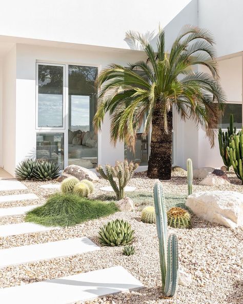 Mark Zeidler | Had an awesome opportunity to shoot one of the best landscaped ‘Palm Springs’ style gardens I’ve ever seen. Located in Toowoomba…… | Instagram Palm Spring Landscape Design, Cactus Garden Front Yard, Palm Springs Front Yard Landscape Design, Palm Springs Pool House, Palm Springs Landscape Design, Palm Springs Front Garden, Palm Spring Garden, Palm Springs Garden Design, Palm Springs Yard