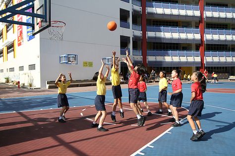 Using a generic invasion game for assessment. Stephen Harvey. Invasion Games, Assessment, Basketball Court, Quick Saves