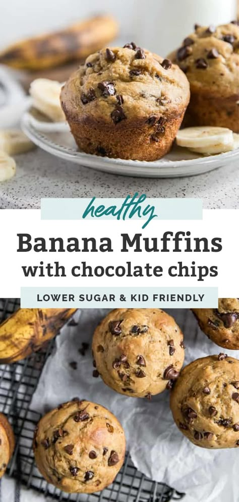 Banana Chocolate Chip Muffins Healthy Greek Yogurt, Banana Chocolate Chip Muffins With Yogurt, Oil Free Banana Muffins, Healthy Banana Choc Chip Muffins, Oatmeal Banana Yogurt Muffins, Banana Chocolate Chip Muffins With Greek Yogurt, Oatmeal Banana Chocolate Chip Muffins Greek Yogurt, Healthy Banana Muffins With Greek Yogurt Easy Recipes, Banana Muffins With Yogurt Recipe