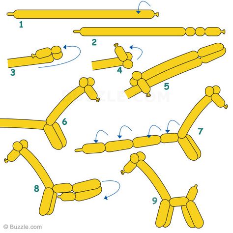 Step by step instructions to make balloon giraffe Easy Balloon Animals, Giraffe Crafts, Twisting Balloons, How To Make Balloon, Balloon Modelling, Balloon Crafts, Diy Balloon Decorations, Balloon Sculptures, Balloon Shapes