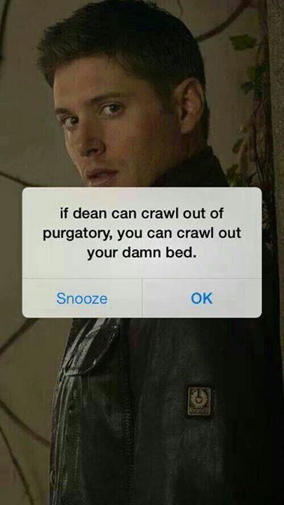 Sammy Supernatural, Bobby Singer, Supernatural Wallpaper, Ange Demon, Supernatural Memes, Supernatural Fans, Sam And Dean, Supernatural Funny, Sam Dean