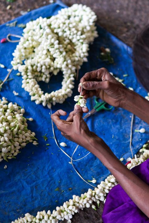 Jasmine Bracelet, Jasmine Garland, Indian Garden, Jasmine Flowers, Indian Flowers, Jasmine Flower, Indian Woman, Flower Garland, Kerala India