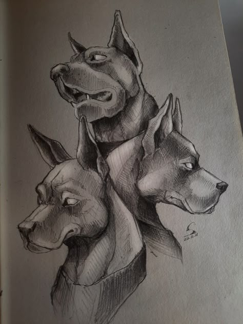 Cerberus Drawing Sketch, Cerberus Sketch, Cerberus Doberman, Doberman Sketch, Doberman Drawing, 3 Headed Dog, Botanical Illustration Black And White, Creepy Animals, Scary Dogs