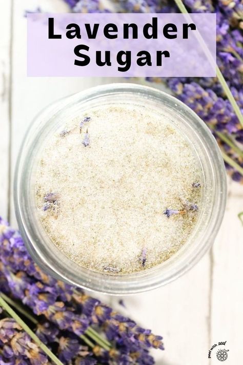 Creating your own lavender sugar at home is a simple method to impart a delicate and sweet lavender essence to your culinary creations. Perfect for enhancing the flavor of sugar cookies, scones, iced tea, and lemonade, this infusion adds a delightful floral note to your favorite recipes. Flavored Sugars, Lavender Dessert, Using Lavender, Dog Farm, Cottage Food, Lavender Sugar, Infused Sugar, Lavender Recipes, Specialty Food Store