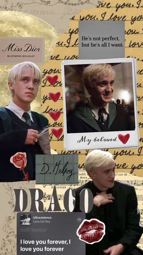 Draco Malfoy Wallpaper, Blonde Ferret, Drako Malfoy, Draco Malfoy Hot, Draco Malfoy Imagines, Slytherin Boys, Draco Malfoy Aesthetic, Lucius Malfoy, Tom Felton Draco Malfoy