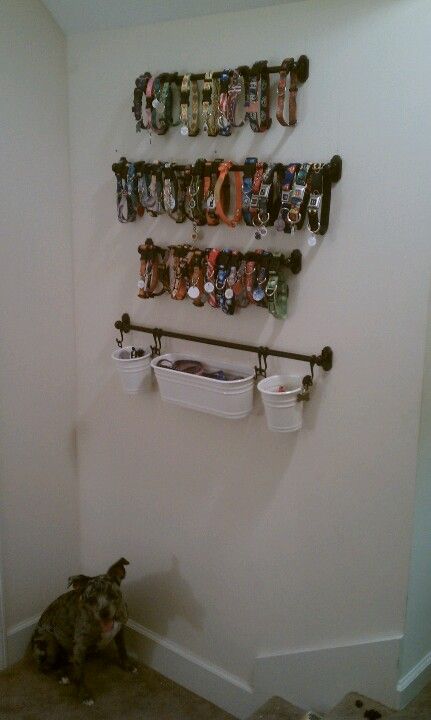 Wall mounted collar rack w/hanging potters for leashes, treats, & meds Dog Collar Organizer, Dog Collar Holder, Dog Collar Storage Ideas, Dog Bandana Organization, Dog Collar Display Ideas, Dog Collar Organization, Dog Collar Storage, Dog Bandana Storage Ideas, Dog Bandana Storage