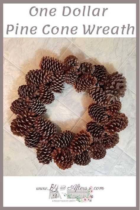 Stone Mountain Georgia, Large Pine Cones, Pine Cone Tree, Pine Cone Wreath, Cone Wreath, Christmas Pine Cones, Beginner Crafts, Wire Wreath Frame, Cone Trees