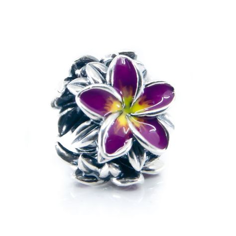 Sterling Silver Aurora Charm from our unique Summer Collection. Frangipani, also known as Plumeria is a unique flower typical for tropical summer destination like Hawaii or Caribbean and will remind you of a hot summer, beach and holidays in a very fun and colourful way. Beads Candy, Unique Flower, Tropical Summer, Unique Flowers, Candy Shop, Cute Rings, Yellow Flower, Flower Charm, Tropical Flowers