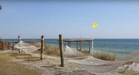 Seagrove Florida, Seagrove Beach Florida, Small Beach Town, Florida Activities, Fun Trips, Beach In Florida, 30a Florida, Florida Adventures, Seagrove Beach