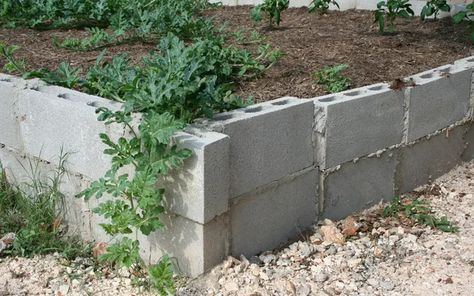 15 Creative Cinder Block Raised Garden Beds - Garden Lovers Club Block Raised Garden Beds, Cinder Block Garden Wall, Cinder Block Raised Garden, Decorative Concrete Blocks, Toddler Garden, Cinder Block Fire Pit, Retaining Wall Blocks, Garden Blocks, Garden Retaining Wall