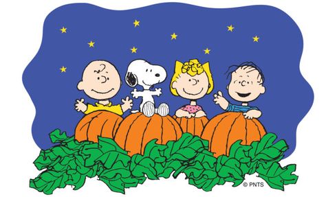 The Great Pumpkin Patch, It's The Great Pumpkin Charlie Brown, Great Pumpkin Charlie Brown, Pumpkin Patch Sign, Pumpkin First Birthday, It's The Great Pumpkin, Charlie Brown Halloween, The Great Pumpkin, Great Pumpkin