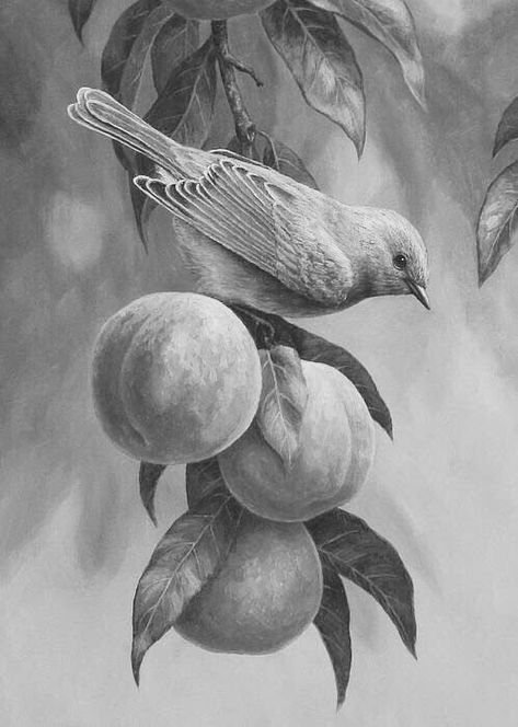 Pencil Sketches Landscape, Bird Pencil Drawing, Landscape Pencil Drawings, Magic Runes, Animal Art Projects, Tree Drawings Pencil, Boho Art Drawings, Animal Illustration Art, Animal Drawings Sketches