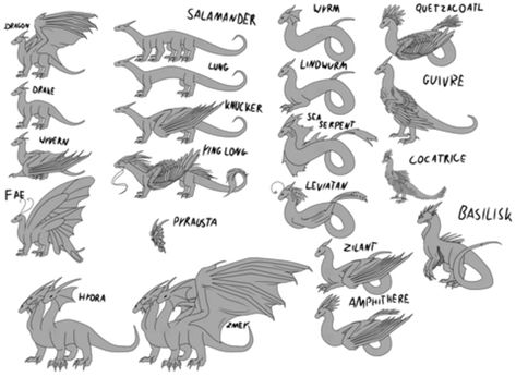 Types of Dragons | Fandom Dragon Anatomy, Types Of Dragons, Dragon Sketch, Creature Drawings, Dragon Pictures, Fantasy Creatures Art, Dragon Artwork, Mythical Creatures Art, Dragon Drawing