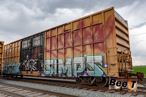 Train Car Graffiti, Train Hopping, Freight Train Graffiti, Car Graffiti, Flying Squirrels, Train Graffiti, Train Cars, Abandoned Train, Freight Train