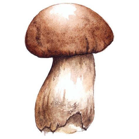 Mushroom Watercolor, Watercolor Mushroom, Porcini Mushroom, Porcini Mushrooms, Mushroom Art, Chiaroscuro, Fruit And Veg, Drawing Inspiration, Premium Vector