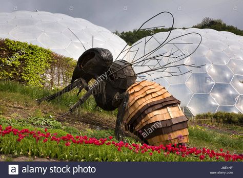 UK, Cornwall, St Austell, Bodelva, Eden Project, Giant bee sculpture in Bee Sculpture, I Love You Honey, Farm Fun, Eden Project, Bee Garden, Garden Whimsy, Art Story, Bee Art, Bee Design