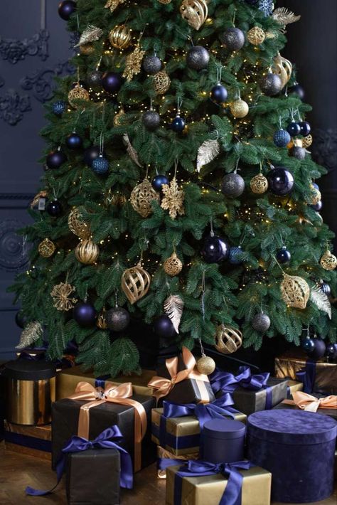 christmas tree ideas Navy Themed Christmas Tree, Navy Blue And Copper Christmas Tree, Color Scheme Christmas Tree, Navy Blue And Gold Christmas Tree, Christmas Tree Blue Decorations, Color Schemes Christmas, Navy And Gold Christmas Tree, Gold And Black Christmas Tree, Gold And Black Christmas