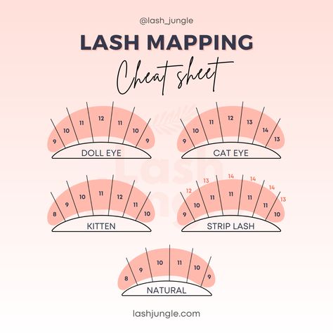 Whether you are just starting out or have been a professional lash artist for years, lash mapping will always provide you with the perfect guide to help you create the most beautiful lash set for your client! 👌 Here are our top 5 lash styles – doll, cat, kitten, strip lash (aka. wispy or Kim K), and natural. Which one is your favourite? 💘 😉 Found this post helpful? Save and share this with your lash besties! Beginner Classic Lash Map, Lash Mapping Guide, Individual Lash Mapping, Beginner Lash Map, Strip Lash Map, How To Start Esthetician Business, Wispy Set Lash Map, Lash Number Guide, Classic Lash Extensions Styles Map