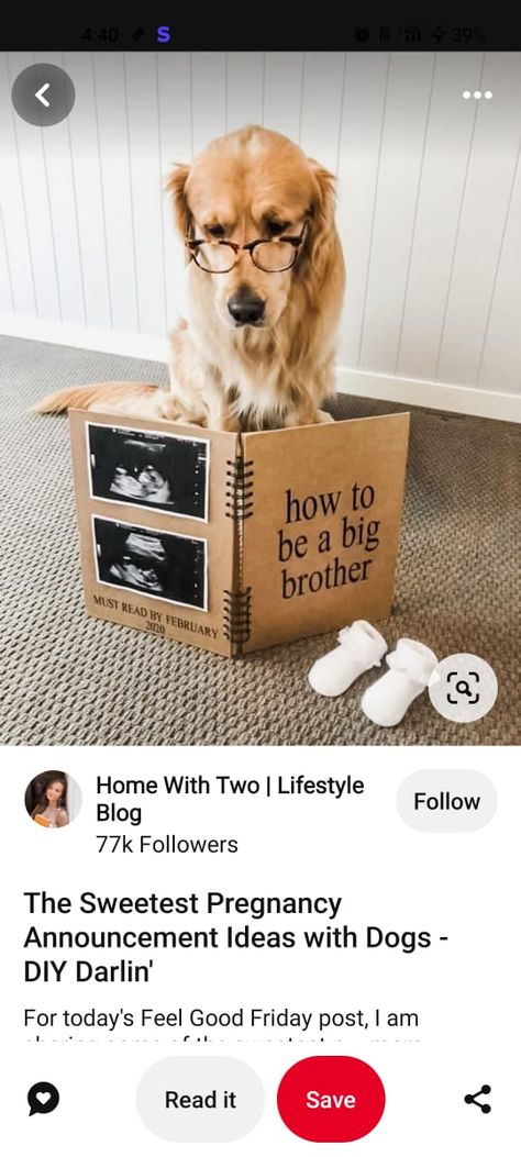 Dog Brother Announcement, How To Be A Big Brother Dog, Cute Pregnancy Announcement With Dog, Pregnancy Announcements With Dogs, Pregnancy Announcement With Dog, Pregnancy Announcement Including Dog, Pregnancy Announcement Dog, Big Brother Dog, Puppy Announcement