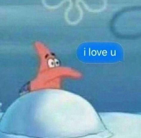 밈 유머, Current Mood Meme, Cute Love Memes, I Love U, Spongebob Memes, 웃긴 사진, Cartoon Memes, Memes Humor, Disney Memes