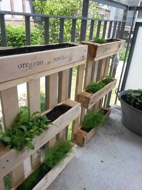 Balcony Farm, Herb Pallet, Ladder Herb Garden, Herb Balcony, Garden Apartment Balcony, Small Balcony Garden Ideas Apartments, Balcony Herbs, Apartment Porch Garden, Balcony Herb Garden Apartment