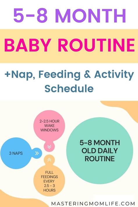 5 Month Old Daily Schedule, 5 Month Old Schedule Feeding, Feeding Schedule For 6 Month Old, 6 Month Old Feeding Schedule, 7 Month Old Schedule, 5 Month Old Schedule, 8 Month Old Schedule, 6 Month Old Schedule, Baby Routines