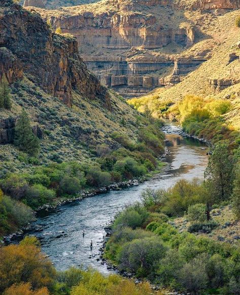 Cascadia Explored on Instagram: “Location: Deschutes River, Oregon Photographer: @extreme_oregon• The Deschutes is a natural jewel in the heart of our community. But many…” Tattoo Collage, Wanderlust Aesthetic, Deschutes River, Rogue Wave, Tears In Heaven, Victorian Buildings, National Park Road Trip, River Art, Pretty Landscapes