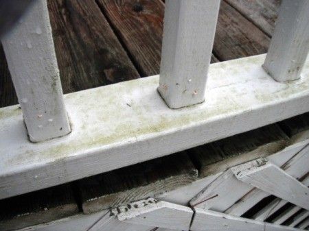 Cleaning Mildew off Vinyl Deck Railings | ThriftyFun Cleaning Composite Decking, Vinyl Deck Railing, Cleaning Naturally, Pvc Railing, Spray Paint Plastic, White Vinyl Fence, Vinyl Deck, Vinyl Pergola, Patio Railing