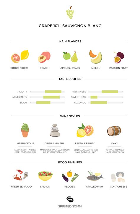 Everything you need to know about the Sauvignon Blanc grape Sauvignon Blanc Pairing, Cheese Platers, Wine Chart, Simple Infographic, Grape Varieties, Wine Expert, Wine Education, Wine Pairings, Wine Tasting Party