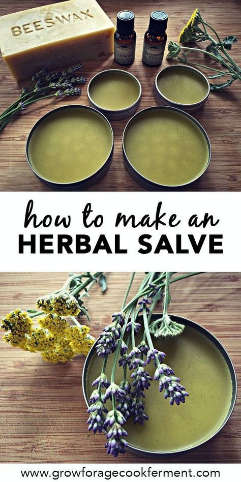 Making your own all natural herbal salve is so easy! This salve is the perfect beginner herbal medicine recipe for a budding herbalist. It treats minor cuts, scrapes, bruises, bites, stings, rashes and dry skin. It has astounding healing powers with all of the medicinal herbs it contains, and smells divine! Click through to learn how to make an herbal salve using healing herbs you can find in your own backyard or grow in your garden. #herbalism #herbalmedicine #salve #medicinal #allnatural How To Infuse Oil With Herbs, Diy Infused Oils, Herbs In Oil, Apothecary Supplies, Herb Infused Oils, Herbal Preparations, Herbal Medicine Recipes, Salve Recipes, Herbal Salves