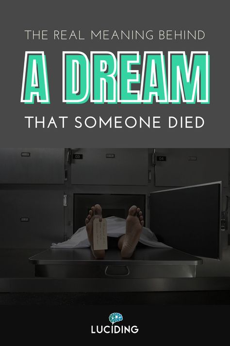 The Basics of Death Dreams. A Dream That Someone Died – Interpretations Revealed. What To Do About a Dream That Someone Died. Feeling Uneasy, Psychic Dreams, When Someone Dies, Dream Dictionary, Dream Symbols, Dream Meanings, Printable Checklist, Dream Journal, Dream Interpretation