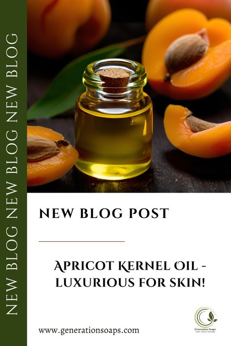 Apricot Kernel Oil is definitely the ideal balancing and nourishing oil to look for in natural skin care formulations.  This natural oil offers luxurious benefits for skin. Read more… #naturalskincare #herbalbeauty #botanicalblends #naturaloils #nourishedskin #healthyglow #pureingredients #skincareroutine #plantbasedskincare #holisticbeauty #cleanbeauty #naturalskincareproducts #herbalremedies #naturesgifts #skincareessentials #botanicalskincare #naturalskincarelover #nourishyourskin Botanical Skincare, Plant Based Skincare, Holistic Beauty, Natural Oil, Apricot Kernel Oil, Healthy Glow, Skin Care Essentials, Herbal Remedies, Clean Beauty