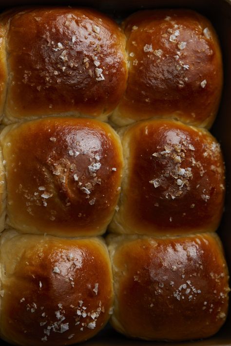 BEST Honey Sweet Bread Rolls | Southern FATTY Salted Honey Rolls, Cornmeal Rolls, Sweet Bread Rolls Recipe, Honey Rolls, Milk Bread Rolls, Bread Roll Recipe, Whipped Buttercream, Sweet Bread Rolls, Japanese Milk Bread