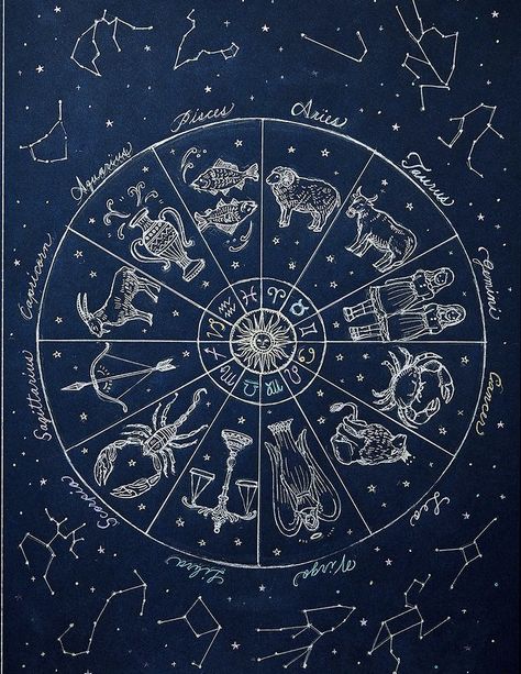 Astrology Reading Aesthetic, Astrologist Aesthetic, My Favourites List, Blue Astronomy, Astrology Map, Bathroom Wall Mural, Faerie Art, Space Map, Zodiac Stars