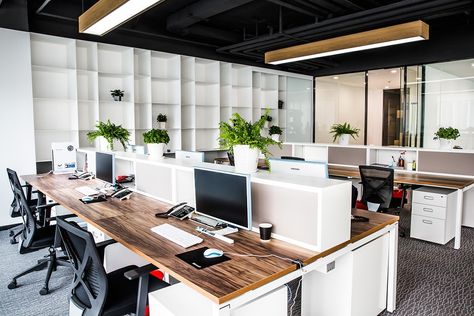 Stellar Mega Films’ Beijing Office Plant Office Design, Open Office Design, Office Layout Ideas, Corporate Office Design, Corporate Office Decor, Office Renovation, Office Space Design, Modern Office Design, Office Layout