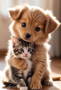 Puppies Cutest, Animals Activities, Puppy And Kitten, Animals Aesthetic, Aesthetic Animals, Wallpaper Animals, Cute Puppies And Kittens, Animals Drawing