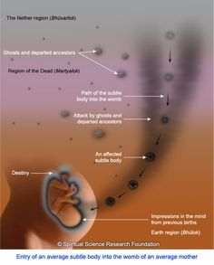 Subtle-body going in the womb Baby In The Womb, 7 Chakras Meditation, Spiritual Science, Science Research, Buddhist Philosophy, Collective Consciousness, Spiritual Messages, Spiritual Enlightenment, Chakra Meditation