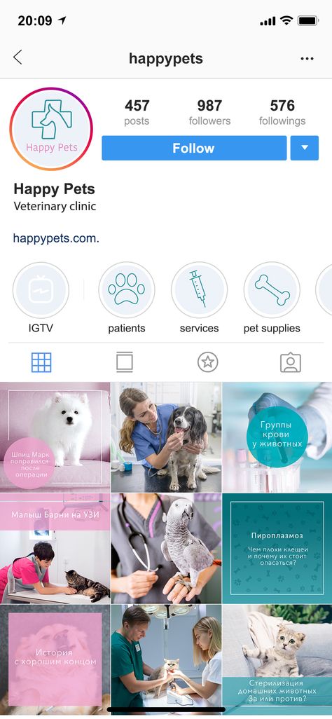 Vet Clinic Instagram, Vet Instagram Feed, Vet Clinic Design, Grid Web Design, Vet Design, Instagram Content Calendar, Instagram Design Layout, Animal Photoshoot, Instagram Feed Planner