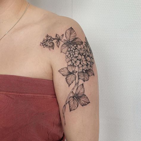 Snowball Bush Tattoo, Hydrangea And Daisy Tattoo, Hortensia Flower Tattoo, Hydrangea Arm Tattoo, Hydrangea Outline Tattoo, Hydrangea Half Sleeve Tattoo, Hydrangea Tattoo Black And Grey, Hummingbird And Hydrangea Tattoo, Hydrangea Back Tattoo