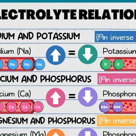 Electrolyte Relationships Nursing, Electrolyte Relationships, Fluid And Electrolytes Nursing, Electrolytes Nursing, Nurses Notes, Lpn Student, Nurse Practitioner Student, Nurse Educator, Nclex Pn