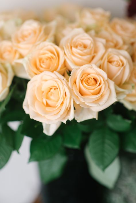 Peach Rose, Peach Bridal Bouquet, Beige Roses, Peach Rose Bouquet, Peach Roses Bouquet, Light Peach Flowers, Peachy Pink Flowers, Peach Rose Arrangements, Antique Bouquet