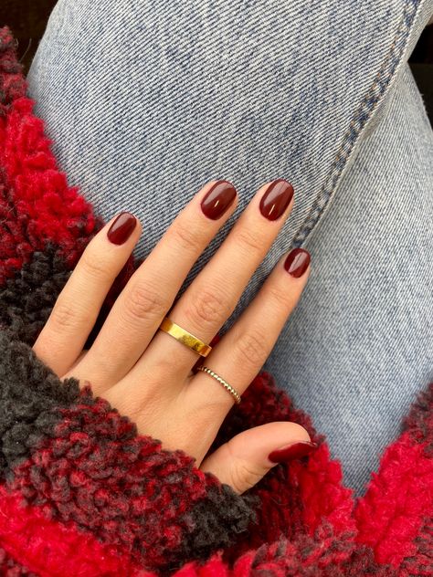 Fall Nail Colors Natural Nails, Short Round Fall Nails 2023, Dark Red Short Natural Nails, Brown Manicure Ideas For Short Nails, Red Fall Nails Short, Round Fall Nails Acrylic, Short Dip Fall Nails, Fall Nails Real Nails, Fall Nails Natural Nail Short