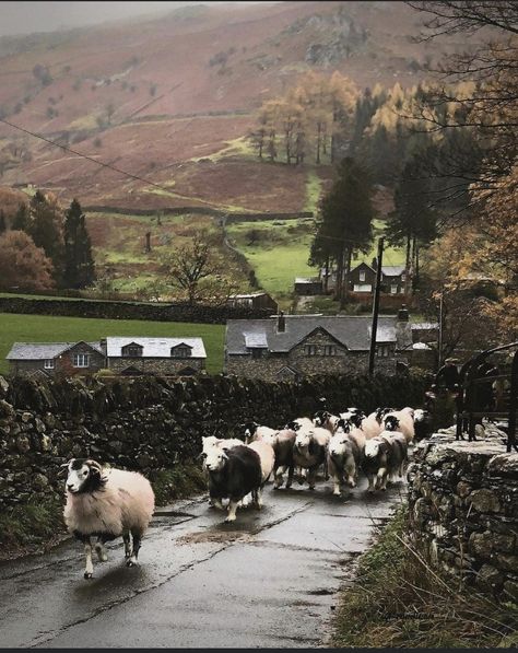 London Village, Swallows And Amazons, British Village, Lake District England, England Countryside, Places In England, Dreamy Photography, Scottish Castles, Pismo Beach