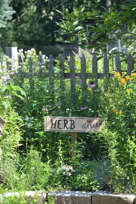 How and Why to Start an Herb Garden | Herbal Academy | If you are passionate about growing herbs, here's some helpful information on how to start an herb garden according to your individual needs! Medicine Garden, Herbal Academy, Herb Garden Pots, Garden Prepping, Growing Rosemary, Medicinal Herbs Garden, Herb Farm, Herb Gardens, Happy Farm