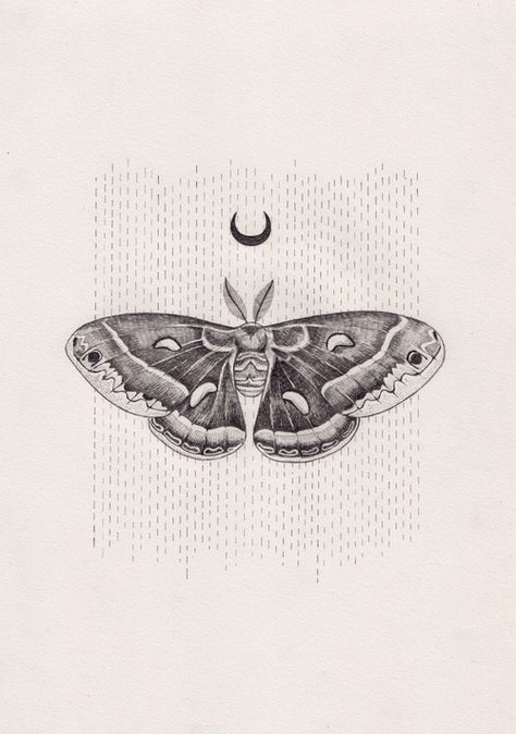 Borboleta Tattoo, Moth Drawing, Lunar Moth, Kunst Tattoos, Tattoos Geometric, Moth Tattoo, Skin Art, Moon Tattoo, A Drawing