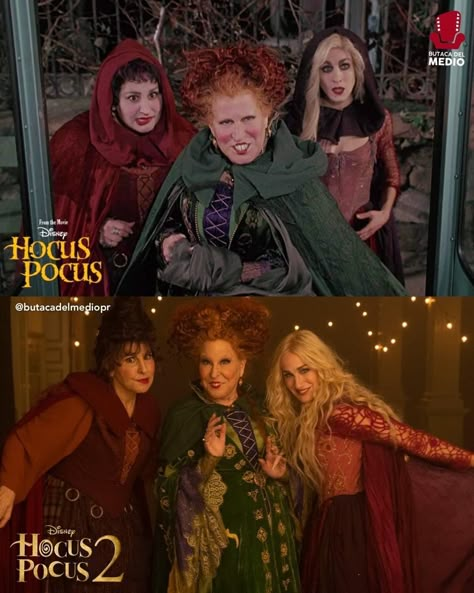 Hocus Pocus Cosplay, Hocus Pocus Wallpaper, Hocus Pocus Aesthetic, Hocus Pocus Characters, Hermanas Sanderson, Hocus Pocus Costume, Hocus Pocus Book, Hocus Pocus 1993, Hocus Pocus Movie